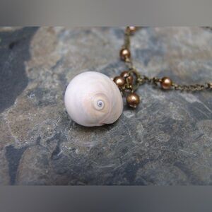 Shark’s Eye Shell Handmade Necklace by Sandy Robinson Jewelry